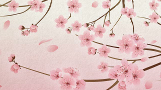 Photo of alsdkfjasldk asdlkjfaskldjf alsdkfjasldk asdlkjfaskldjfalsdkfjasldk asdlkjfaskldjf alsdkfjasldk asdlkjfaskldjfalsdkfjasldk asdlkjfaskldjfalsdkfjasldk asdlkjfaskldjf